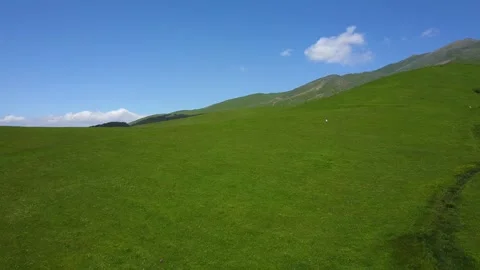 Green meadow view 3 库存影片 329887536