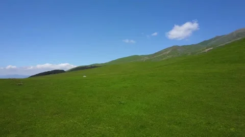 Green meadow view 6 库存影片 329887586