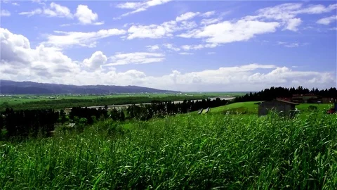 Green Meadow White Clouds Video stock 74852620