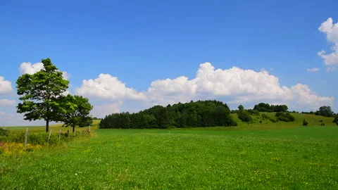 Green Meadows and Blue Sky Clouds 動画素材 330633714
