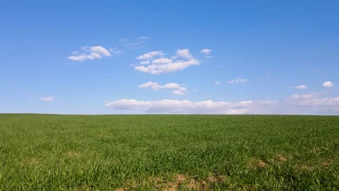 Green Meadows And Blue Sky 스톡 동영상 332892885