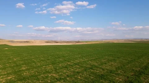 Green Meadows And Blue Sky 스톡 동영상 334548340