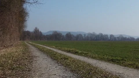 Green meadows and dry fields in bavaria a sunny day Filmed in UHD 4k Video stock 251802217