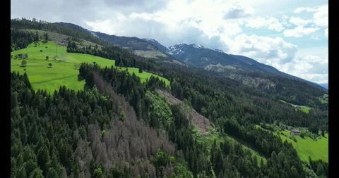 Green Meadows and Trees in a Summer Landscape in the Austrian Alps Stock Footage 288069442