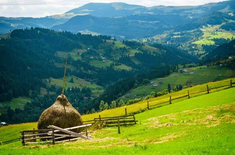 Green meadows in the Carpathian Mountains with a haystack in the foreground Stock Photos