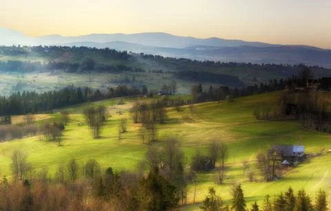 Green meadows in early spring Stock Photos