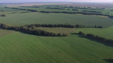Green meadows, flying over! Stock Footage 58251296