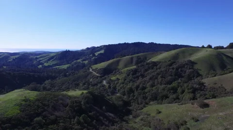 Green Meadows Stock Footage 48811363