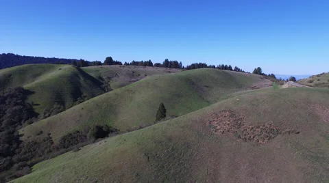 Green Meadows Stock Footage 48811701