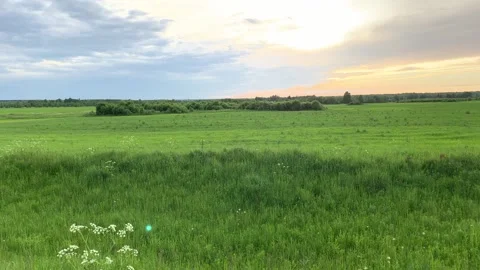 Green meadows Stock Footage 172099137