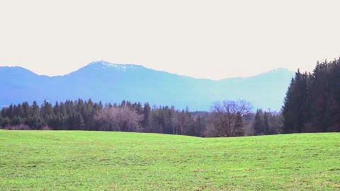 Green meadows in the mountains in front of the Alpine mountains Stock Footage 265881991