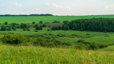 Green meadows in summer Stock Photos