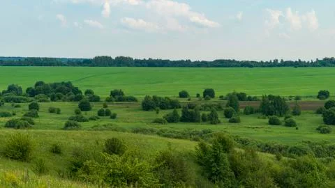 Green meadows in summer Stock Photos
