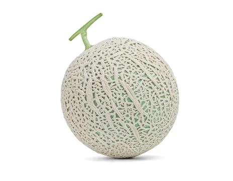 Green melon Stock Photos