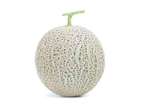 Green melon Stock Photos