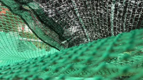 A green mesh canopy moves in slow fluid waves as gentle air flows through its Stock Footage 322515063