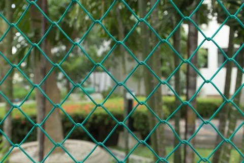 Green mesh Stock Photos