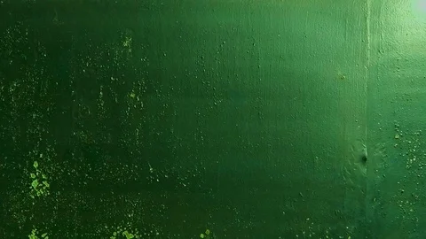 The Green metal texture Stock Footage 98313448