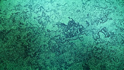 Green Metallic Liquid Surface Abstract Texture Background Stock Footage 336655429