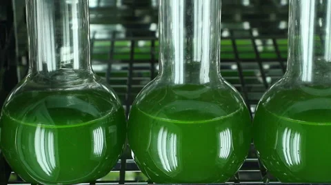 Green microalgae  containers row horizontal panning close up Stock Footage 61057090