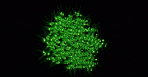 Green microbes , bacteria, virus, algae growing, spreading Stock Footage 64866667