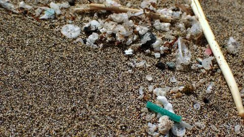 Green microplastics in the foreground mimic vegetation that marine life mis.. Stock Photos