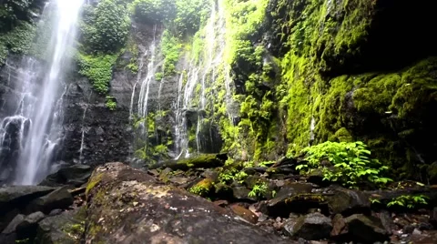 Green Mildewed Cliff Waterfall Dolly Shot 스톡 동영상 45380460