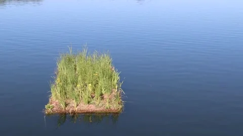 Green mini island. Stock Footage 245089723