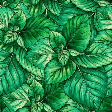 Green Mint Foliage Seamless Pattern. Tea Herb Theme Object Repeating. Peppermint 스톡 일러스트