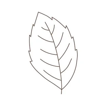 Green mint leaf herbal isolated icon white background linear design Stock Illustration