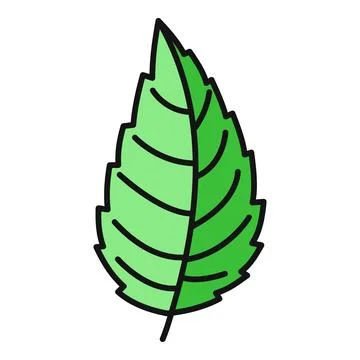 Green mint leaf line drawing illustration on white background Illustrazione stock