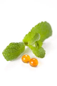 Green mint leaf Stock Photos