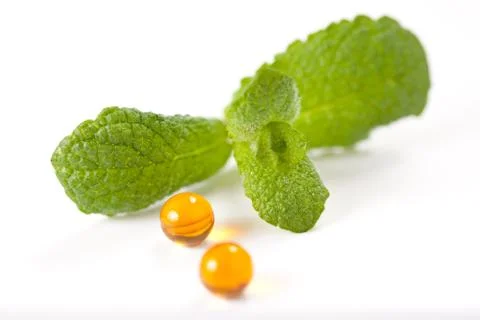 Green mint leaf Stock Photos