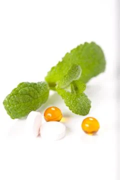 Green mint leaf Stock Photos