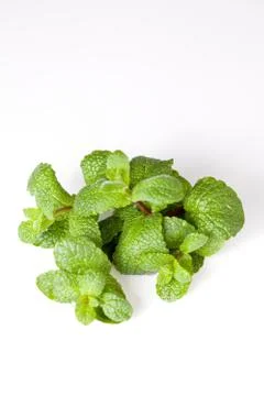 Green mint leaf Stock Photos