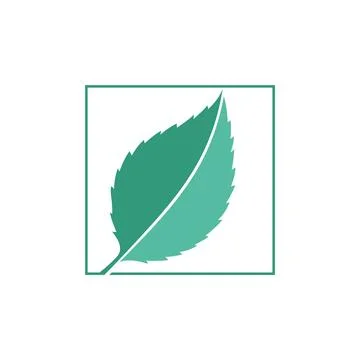 Green Mint Leaf Square Line Vector Logo Template Stock Illustration