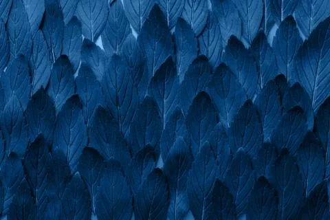 Green mint leaves pattern layout design. Ecology natural creative concept. Top Stock Photos