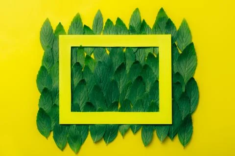 Green mint leaves pattern layout design on yellow background with paper frame on Stock Photos