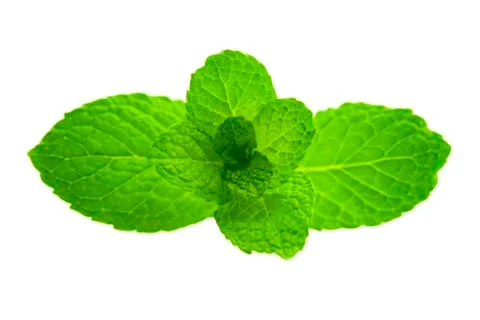 Green mint Stock Photos