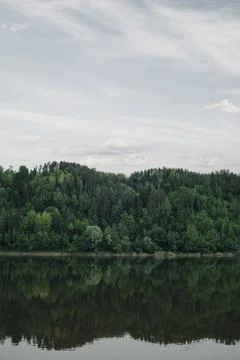 Green mixed forest by the lake in the reflection of the water. Stock Photos