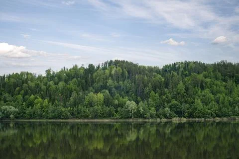Green mixed forest by the lake in the reflection of the water. Stock Photos