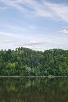 Green mixed forest by the lake in the reflection of the water Stock Photos