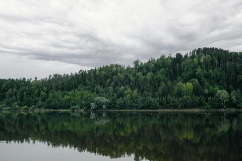 Green mixed forest by the lake in the reflection of the water. Stock Photos