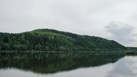 Green mixed forest by the lake in the reflection of the water. Stock Photos