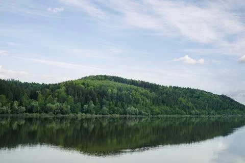 Green mixed forest by the lake in the reflection of the water. Stock Photos