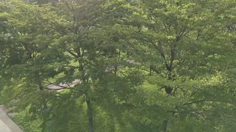 Green in the modern city Stock Footage 278460106