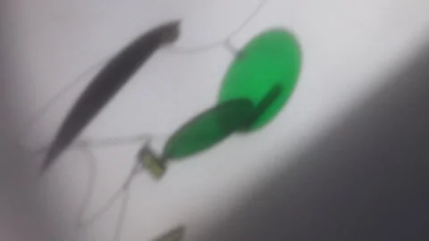 Green Modern Geometric Drift Visual Stock Footage 304436567