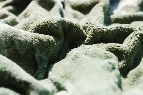 Green Mold Layer on Spoiled Cottage Cheese Stock Photos