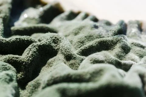 Green Mold Layer on Spoiled Cottage Cheese Stock Photos