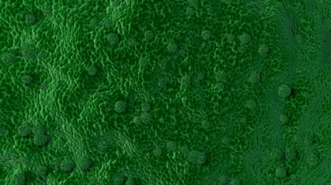 Green mold spores grow simulation, with BG Stock Footage 6126649